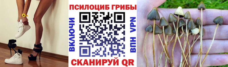Галлюциногенные грибы MAGIC MUSHROOMS  Унеча 